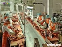 ЖЕНЩИНЫ НА РЫБЗАВОД (от 9.90 зл в час чистыми)