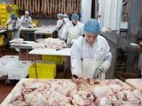 мясник, работник курийного мясокомбината