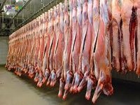 Работа на мясокомбинате