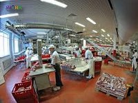 работа на голландском мясокомбинате
