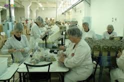 Упаковщик печенья