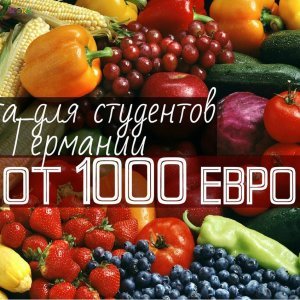 Работа в Германии для студентов