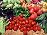 Работа в Германии для студентов