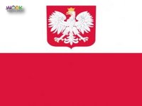 Працівники в мережу продуктових магазинів