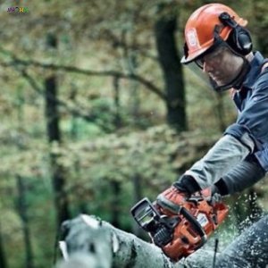 Працівники на спилювання гілок ПОЛЬЩА