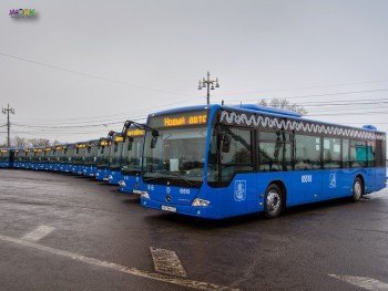 Водитель автобуса категории 