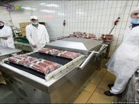УПАКОВЩИКИ МЯСНЫХ И КОЛБАСНЫХ ИЗДЕЛИЙ AX (Kutno) с визами от 2,5 месяца