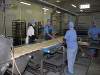 Формувальник тіста по виробництву пряників і печива