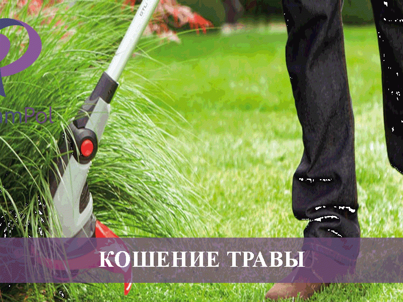 КОШЕНИЕ ТРАВЫ ВДОЛЬ АВТОСТРАД