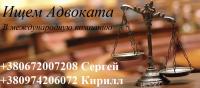 Адвокат в международную компанию