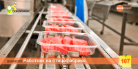 Работник на птицефабрике