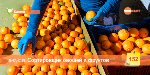ТРЕБУЕТСЯ СОРТИРОВЩИК, УПАКОВЩИК ОВОЩЕЙ И ФРУКТОВ
