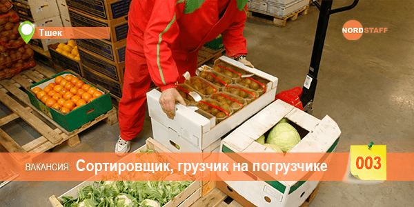Требуется сортировщик-грузчик