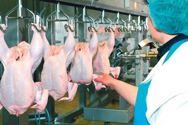 на птицефабрику та мясокомбінат