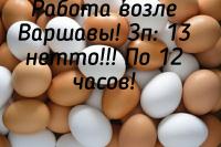 Работа на сортировку яиц в фирме OLDAN