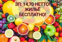 Сортировка фруктов