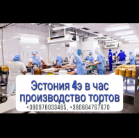 Эстония, производство тортов!!!