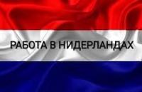 Нидерланды для мужчин и женщин (семейные пары)