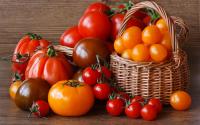 Эстония работники на продуктовую фабрику готовых блюд